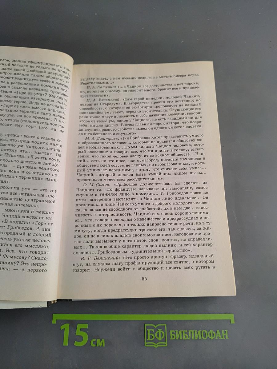 В мире литературы. 10 класс. Учебник для общеобразовательных учреждений