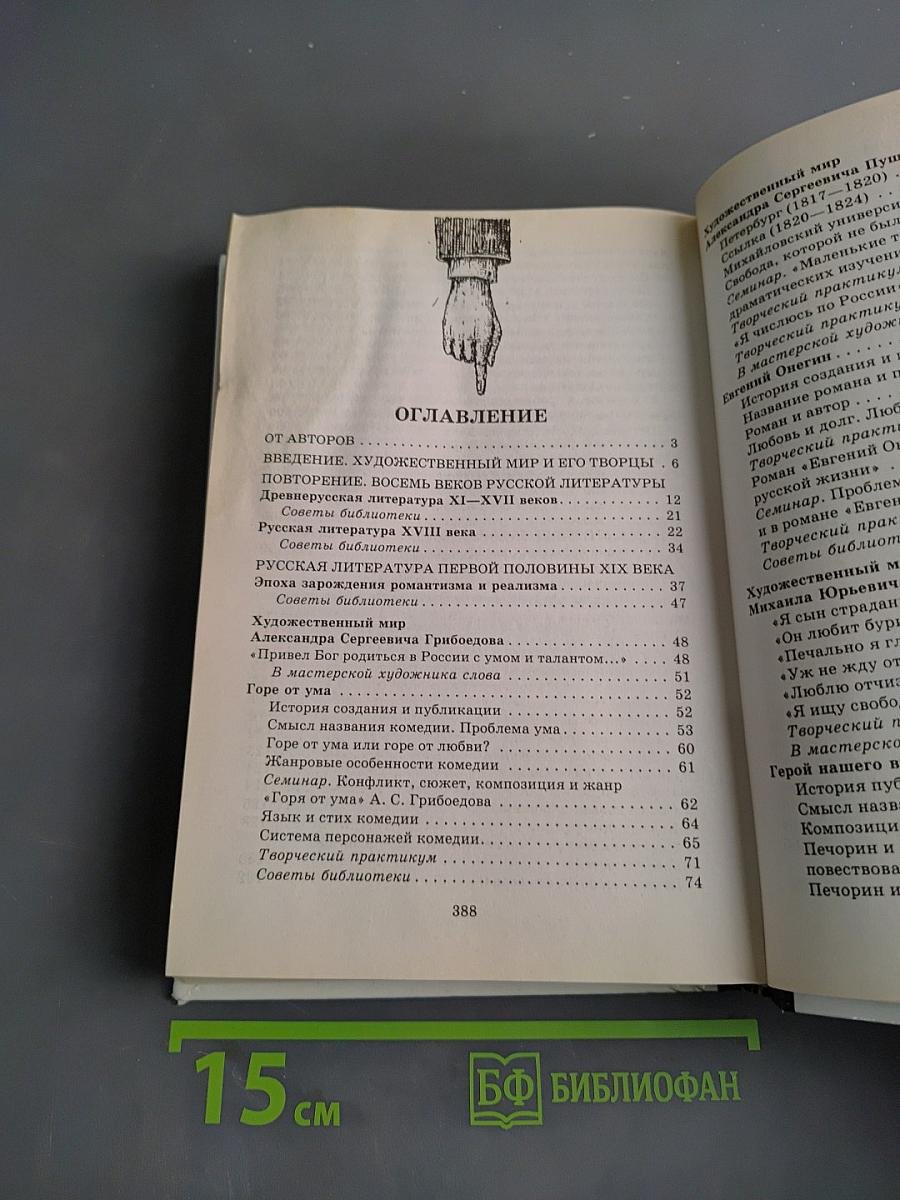 В мире литературы. 10 класс. Учебник для общеобразовательных учреждений