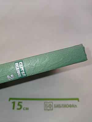 Собрание сочинений. Том второй. Стихотворения, Драматические поэмы (Октябрь 1917-1923)