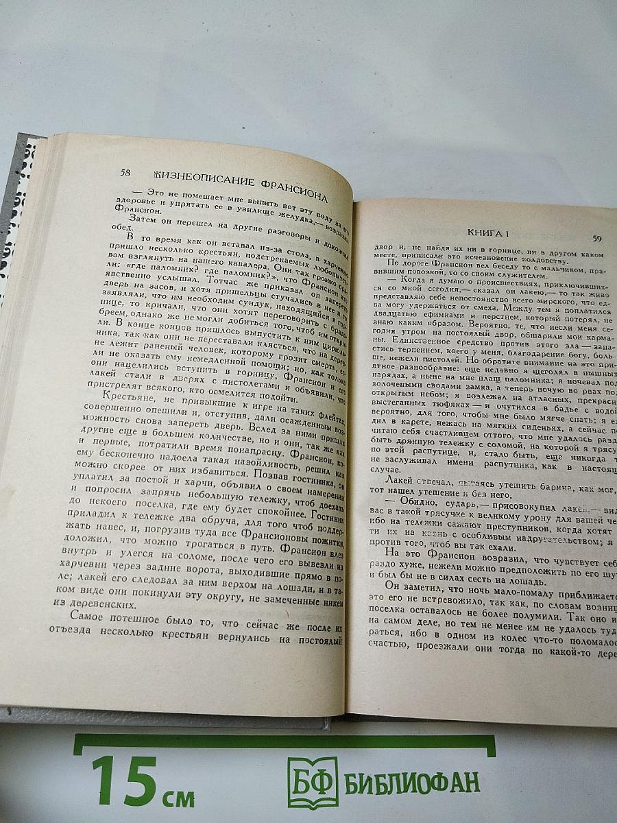 Правдивое комическое жизнеописание Франсиона