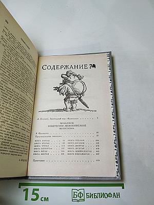 Правдивое комическое жизнеописание Франсиона