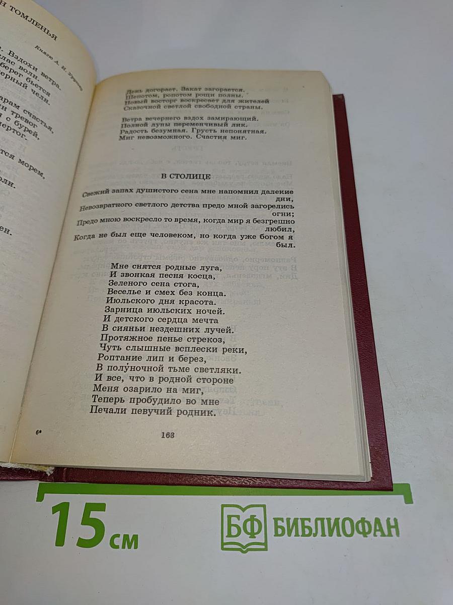 Серебряный век. Поэзия. Книга для ученика и учителя. Критика и комментарии. Темы и развернутые планы сочинений. Материалы для подготовки к уроку