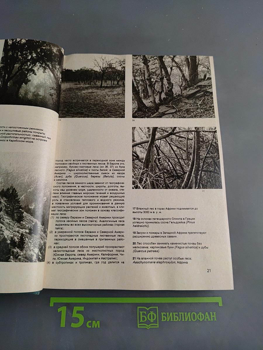 Иллюстрированная энциклопедия лесов