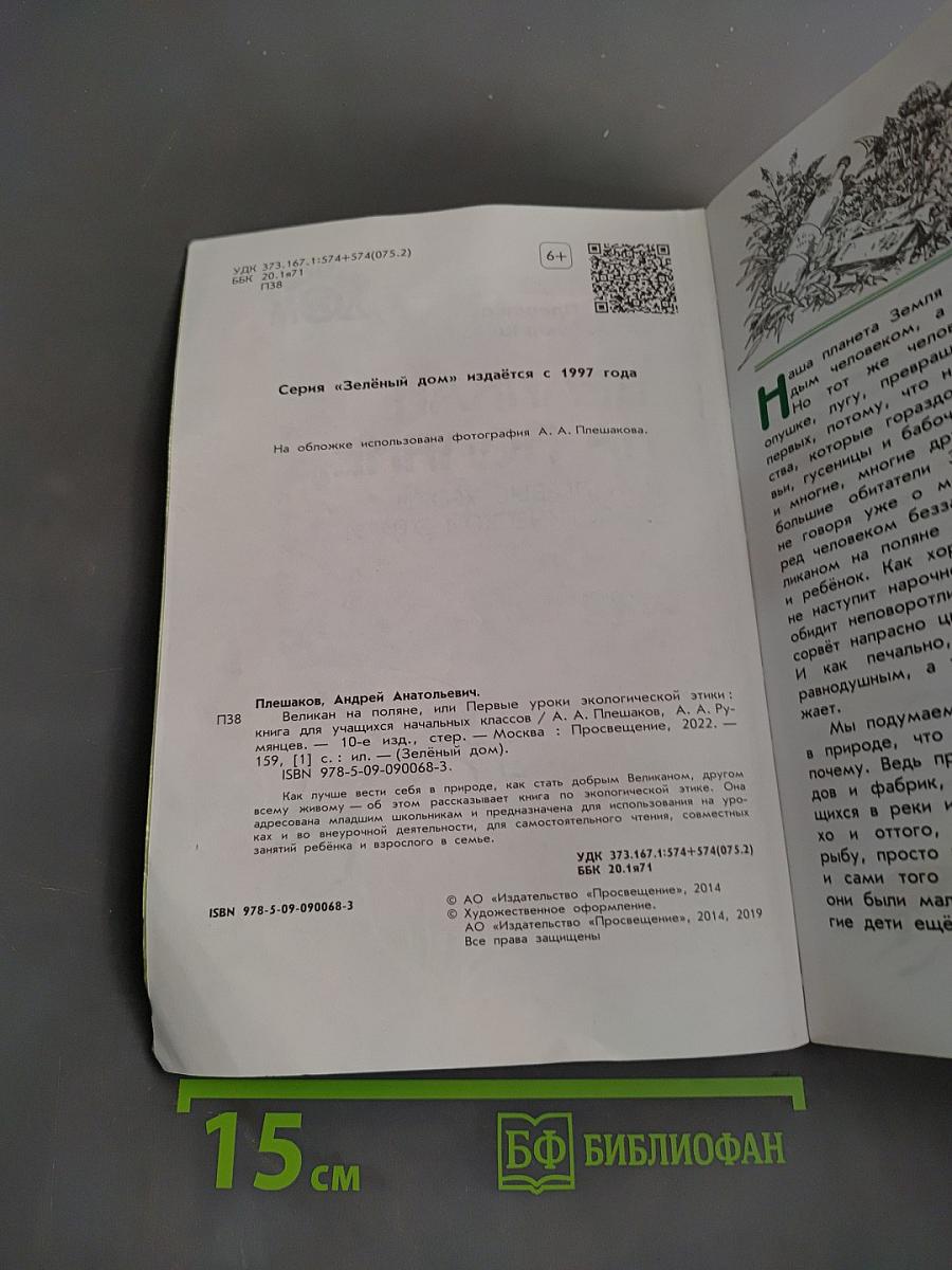 Великан на поляне, или первые уроки экологической этики