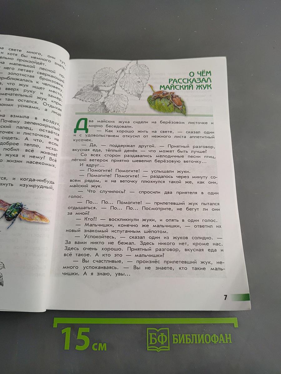 Великан на поляне, или первые уроки экологической этики