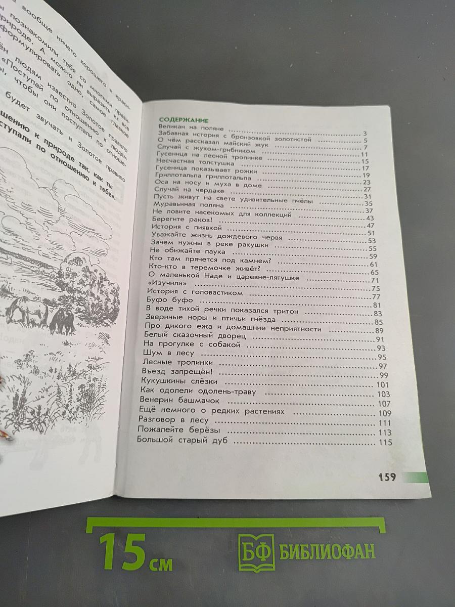 Великан на поляне, или первые уроки экологической этики