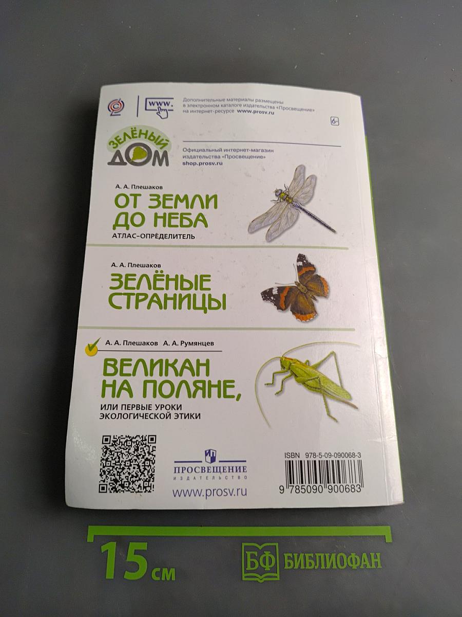 Великан на поляне, или первые уроки экологической этики