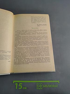 Декоративное цветоводство на приусадебном участке