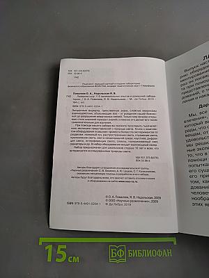 Лазерное шоу. 110 занимательных опытов в домашней лаборатории