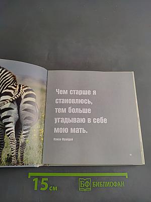 Дочки-матери