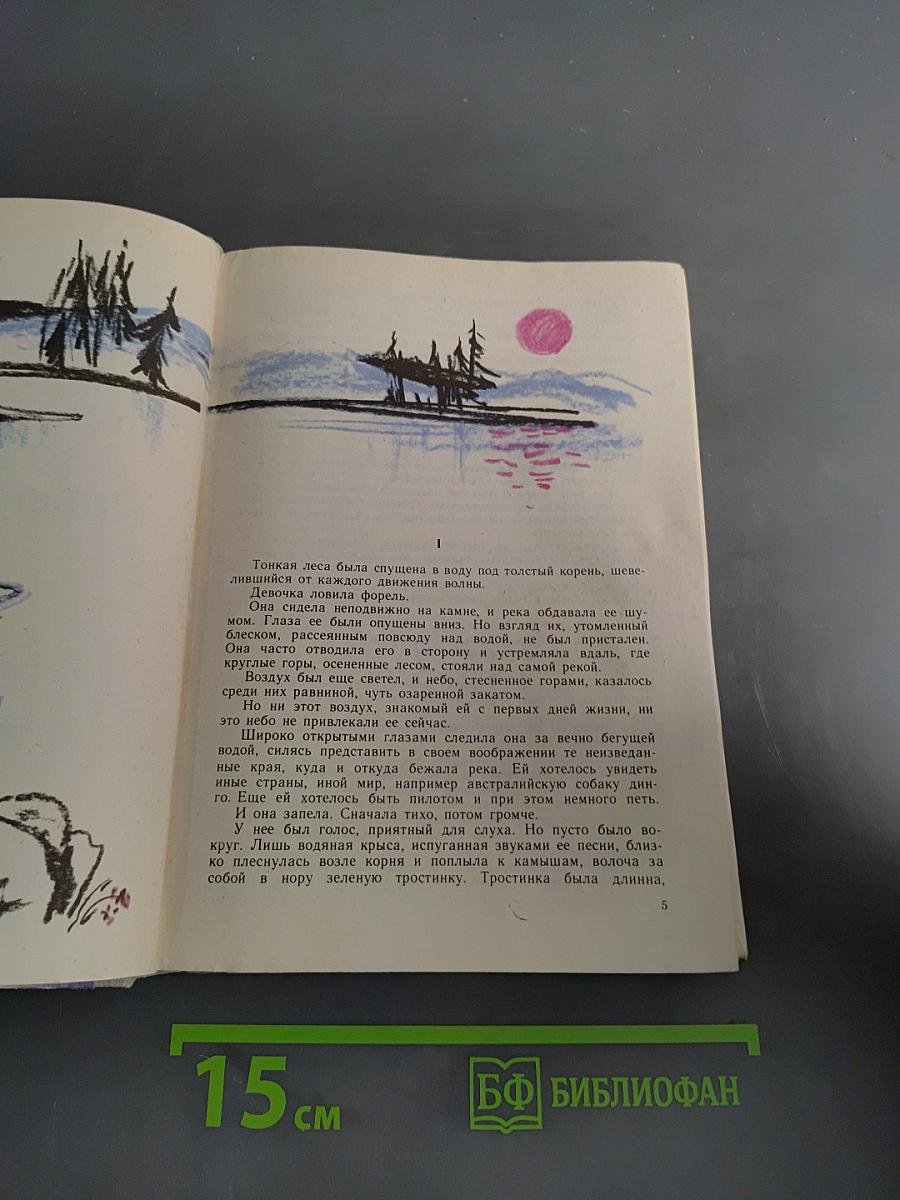 Дикая собака динго, или Повесть о первой любви. Дальнее плавание