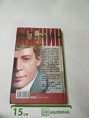 Есенин. Казнь после убийства