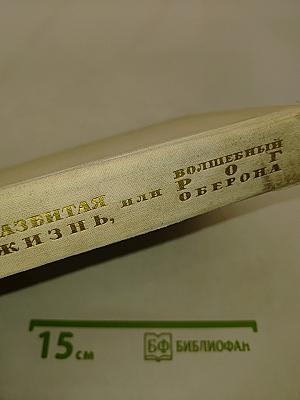 Разбитая жизнь, или Волшебный рог Оберона