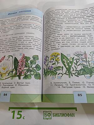 Окружающий мир 3 класс Часть 1