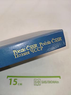 Поэзия СССР XX век
