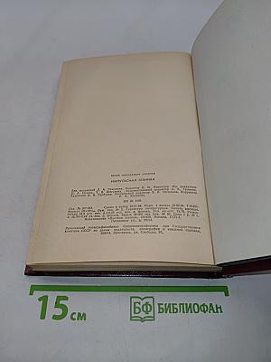 Импульсная техника
