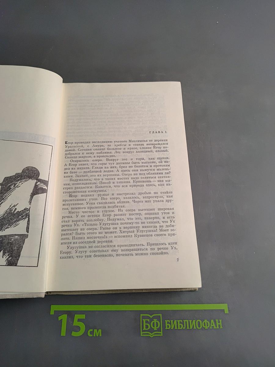 Золотая лихорадка. Книга третья