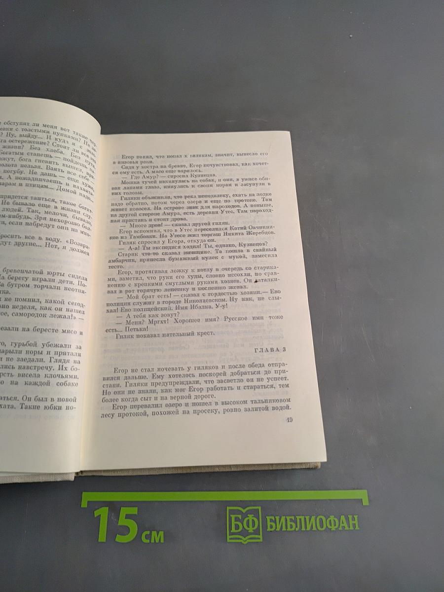 Золотая лихорадка. Книга третья