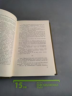 Собрание сочинений в десяти томах. Том девятый. Анна Каренина