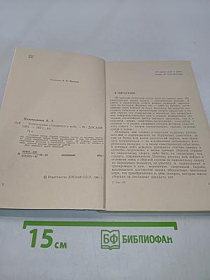 Чемпионами становятся в небе