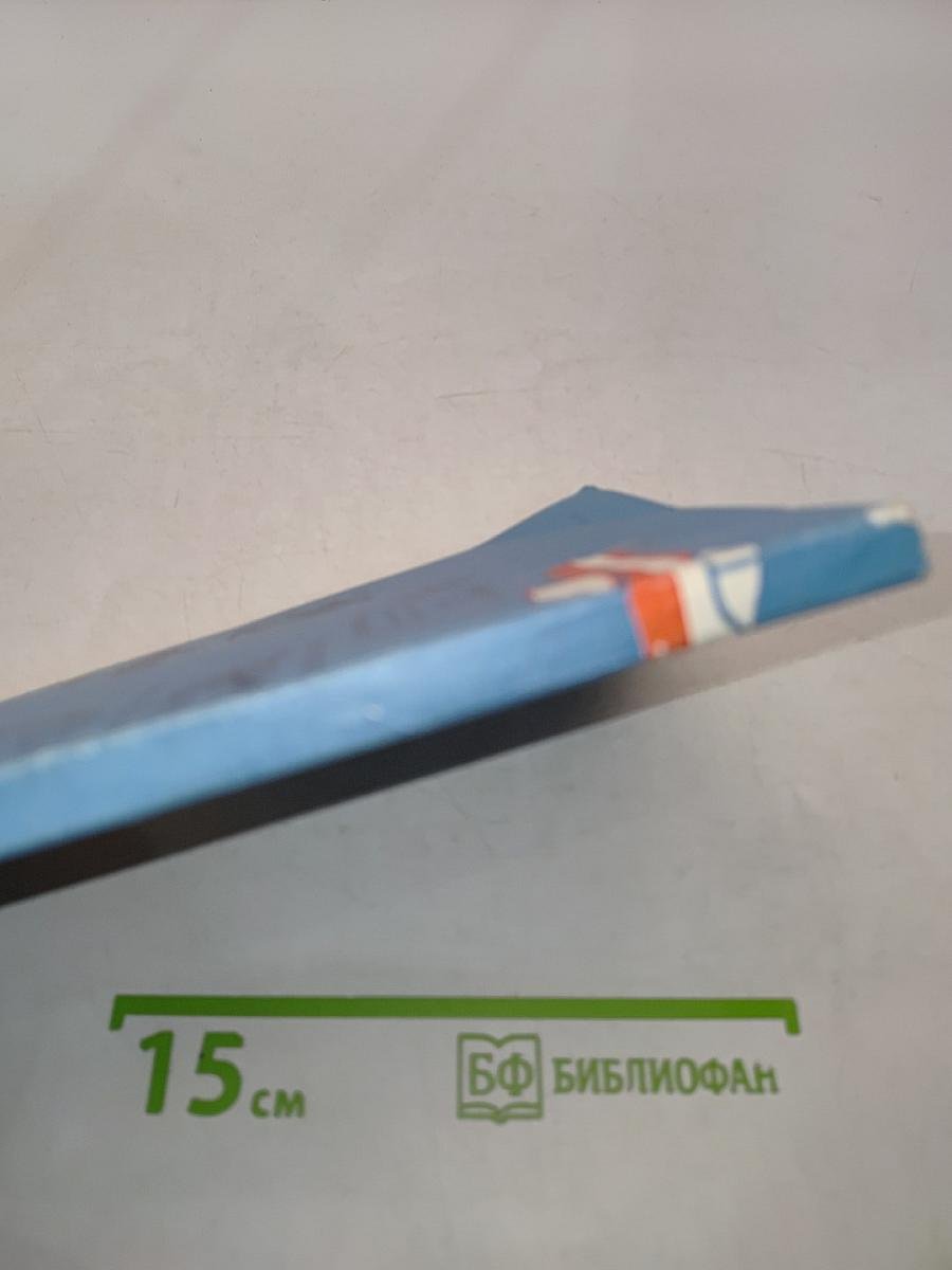 Чемпионами становятся в небе