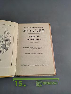 Мещанин во дворянстве