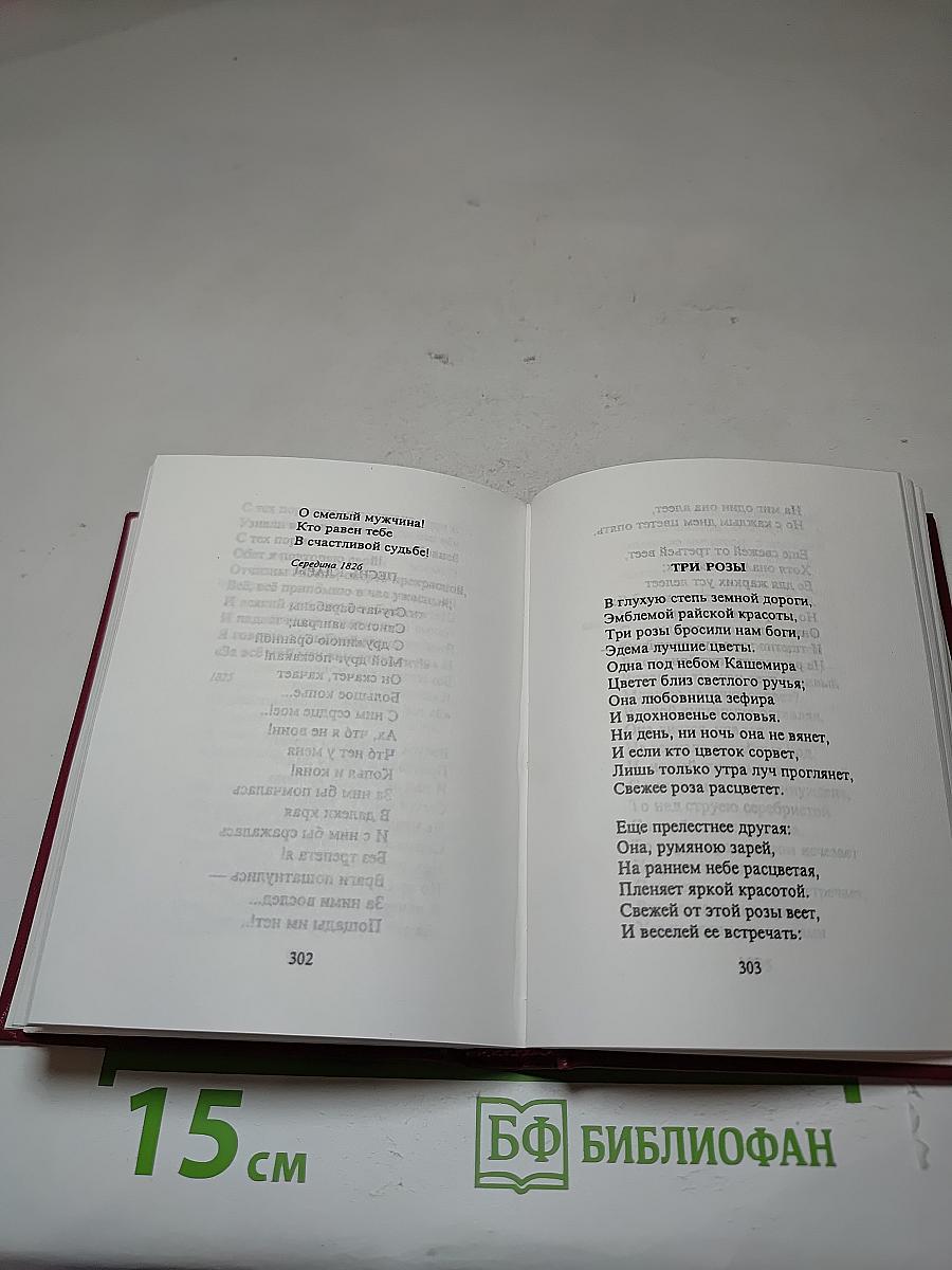 Песни и романсы русских поэтов. Том первый