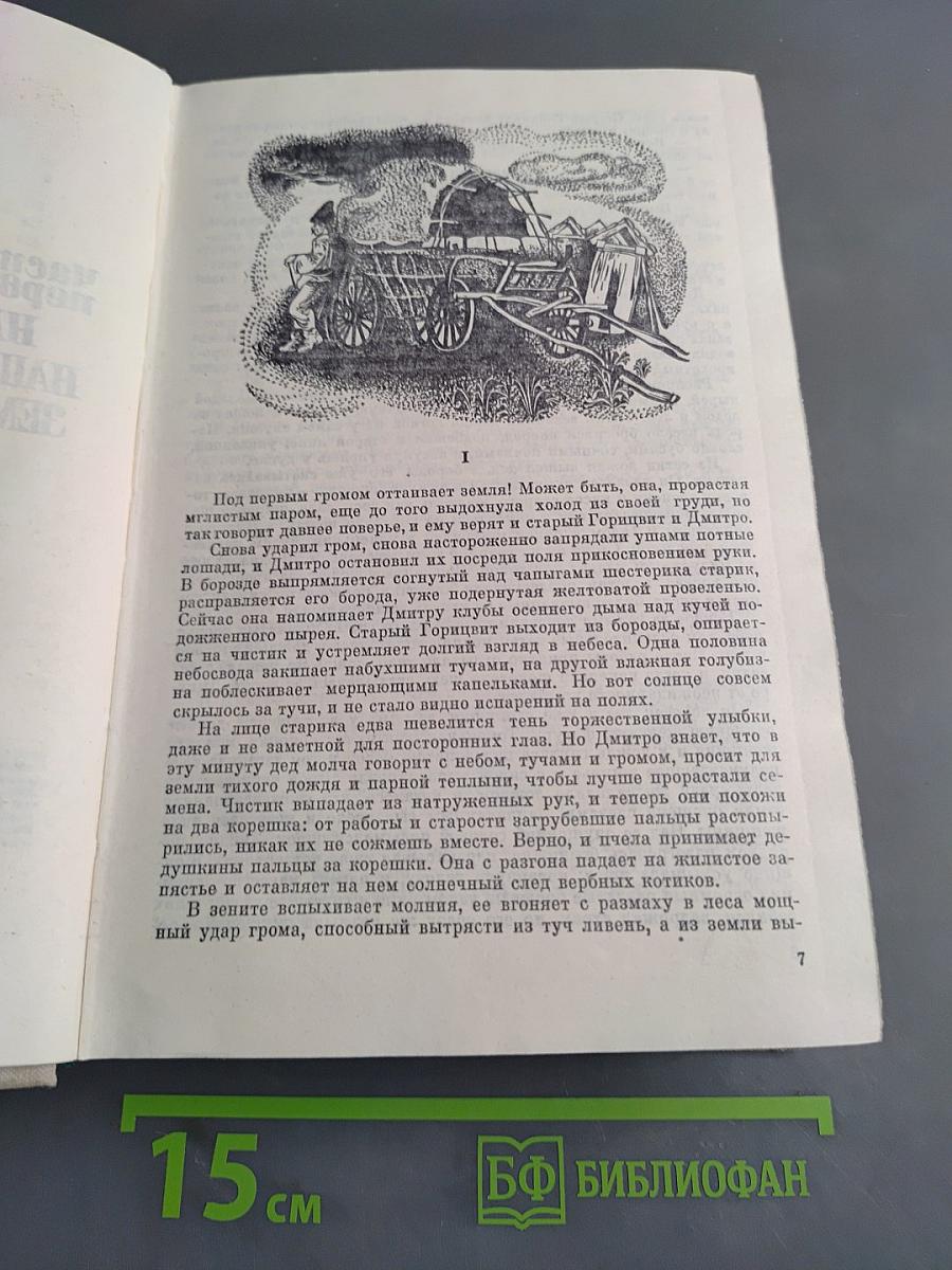 Большая родня