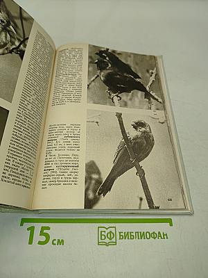 Иллюстрированная энциклопедия птиц