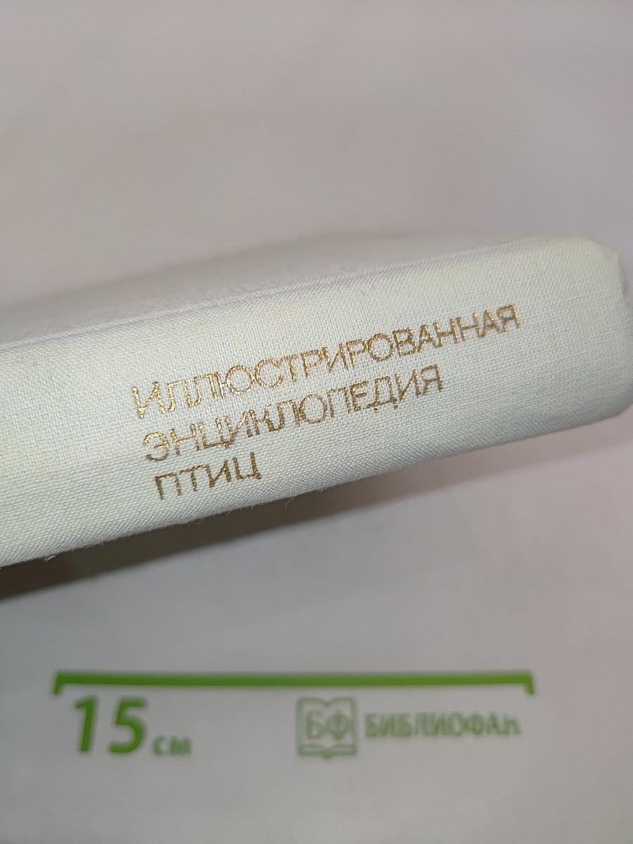 Иллюстрированная энциклопедия птиц