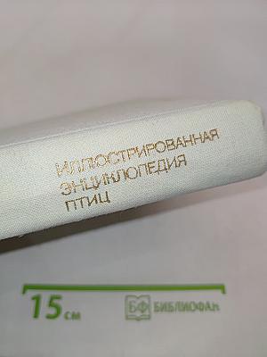 Иллюстрированная энциклопедия птиц
