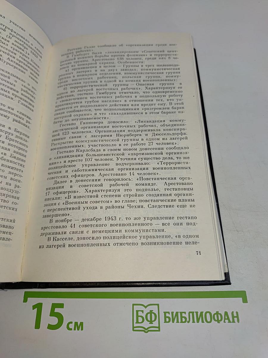 Они не пропали без вести