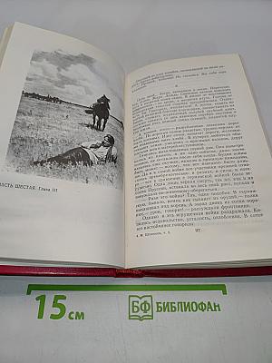 Тихий Дон. Роман в 8-ми книгах. Том 3
