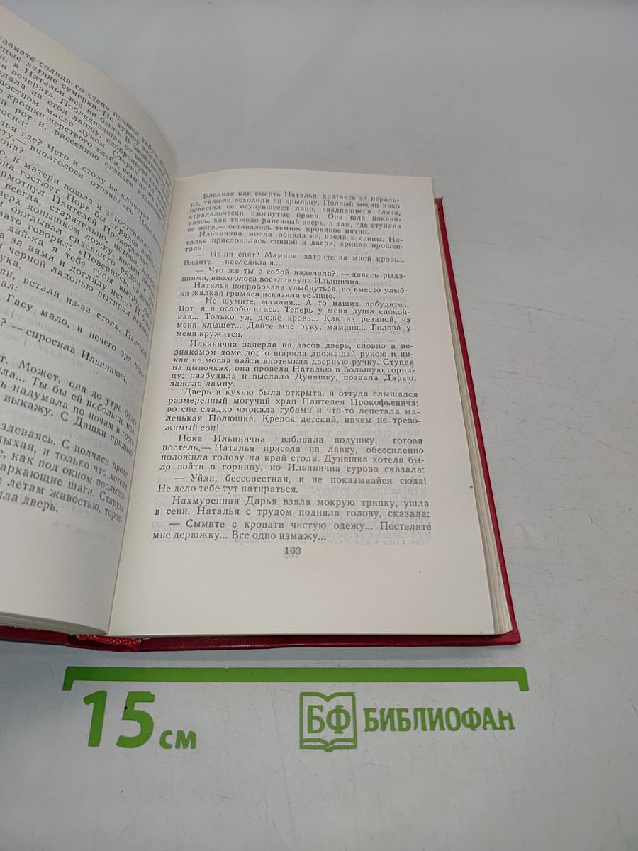 Тихий Дон. Роман в четырех книгах. Том 4