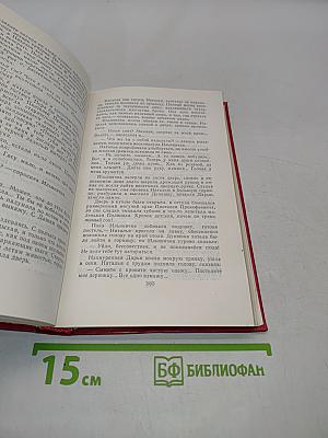 Тихий Дон. Роман в четырех книгах. Том 4
