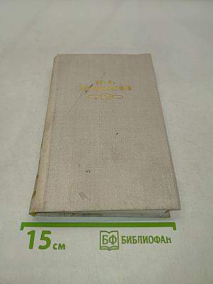 Стихотворения и поэмы. Том 11