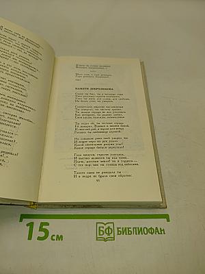 Стихотворения и поэмы. Том 11