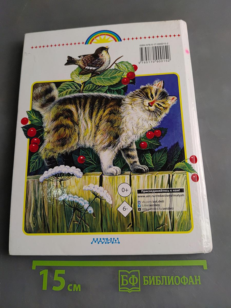 Родничок. Книга для внеклассного чтения в 1 классе