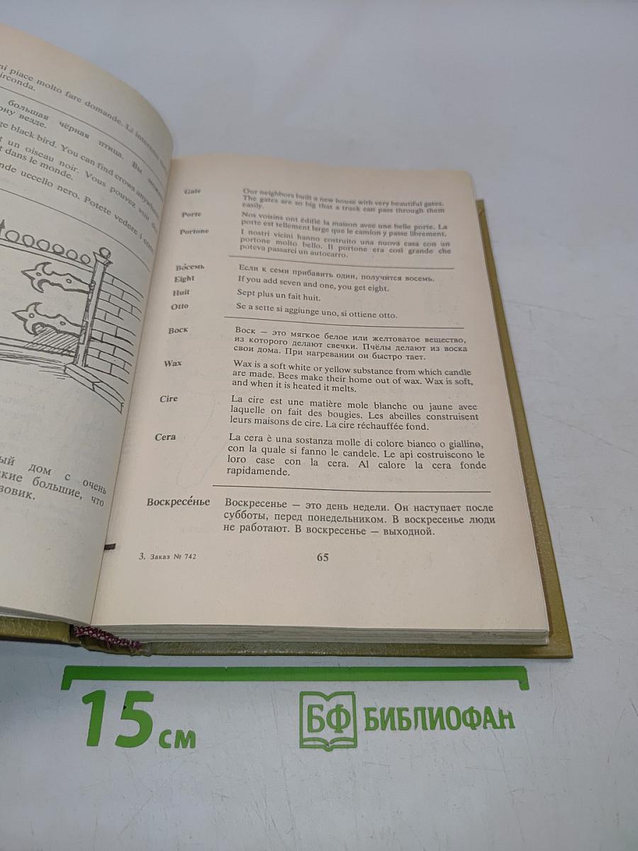 Русско-англо-франко-итальянский словарь в картинках