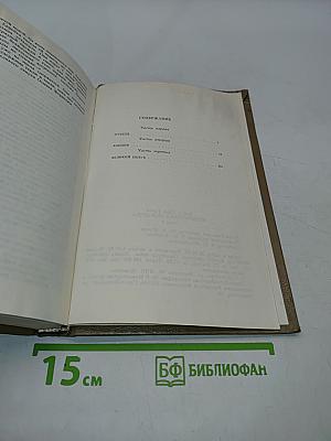 Неукротимая Анжелика