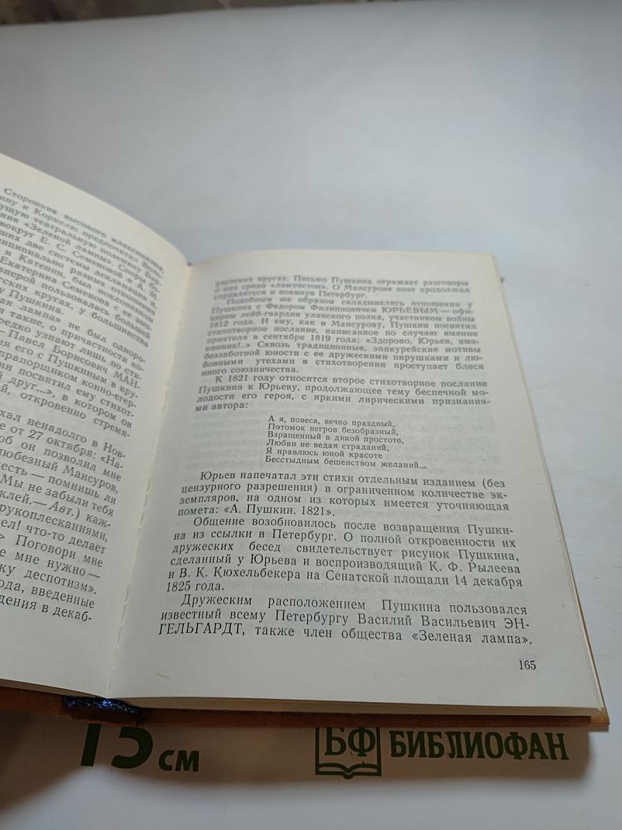Петербургские встречи Пушкина