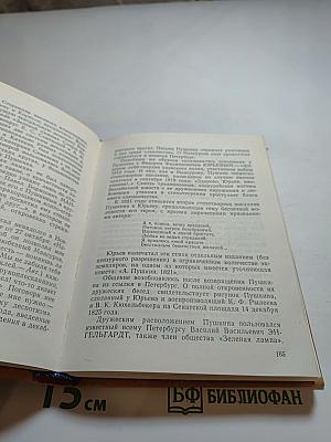 Петербургские встречи Пушкина