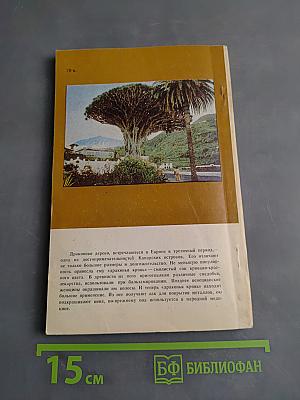 За столпами Гераклa. Канарские острова