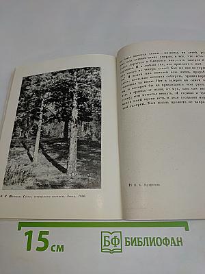 Русская живопись. Альбом