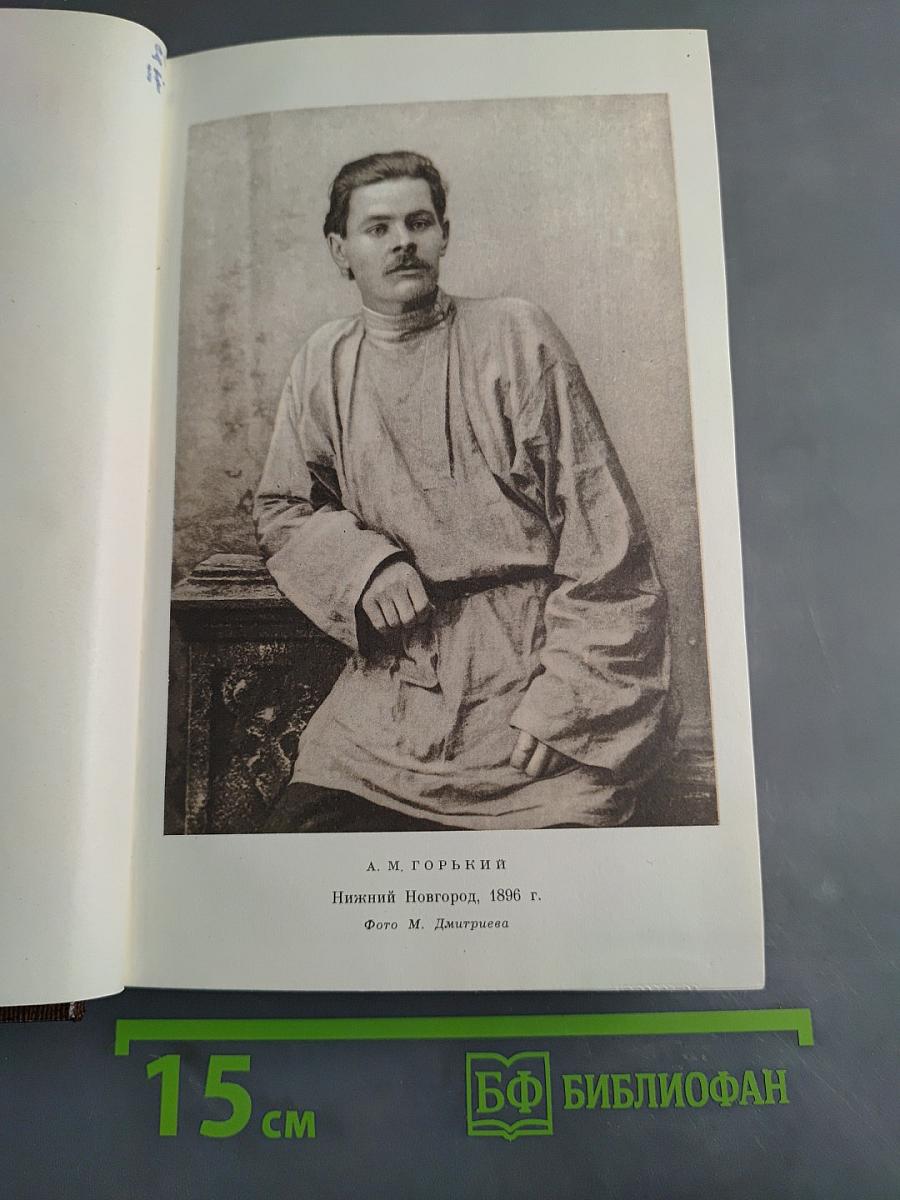 М. Горький. Том второй. Рассказы, очерки, наброски, стихи 1894-1896