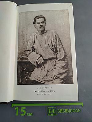 М. Горький. Том второй. Рассказы, очерки, наброски, стихи 1894-1896
