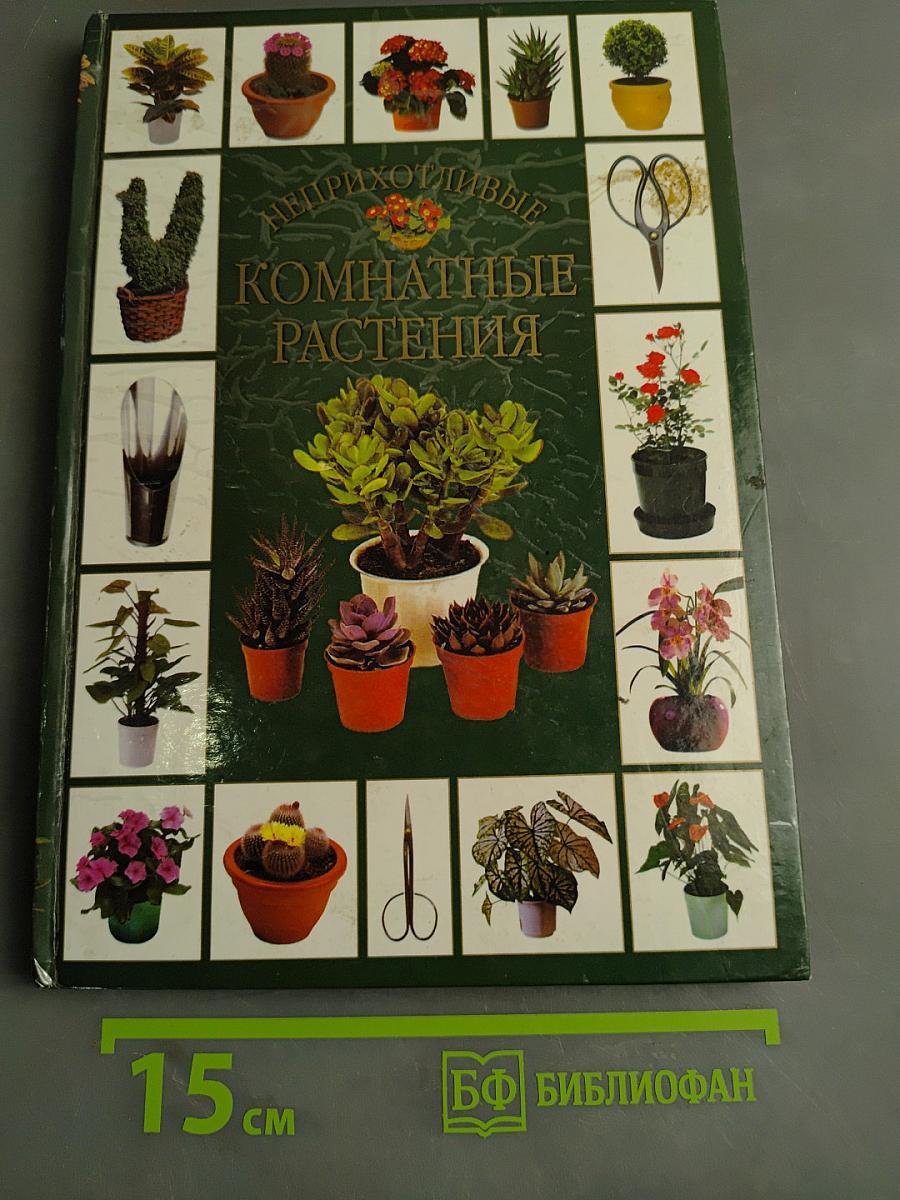 Неприхотливые комнатные растения. Практическое руководство