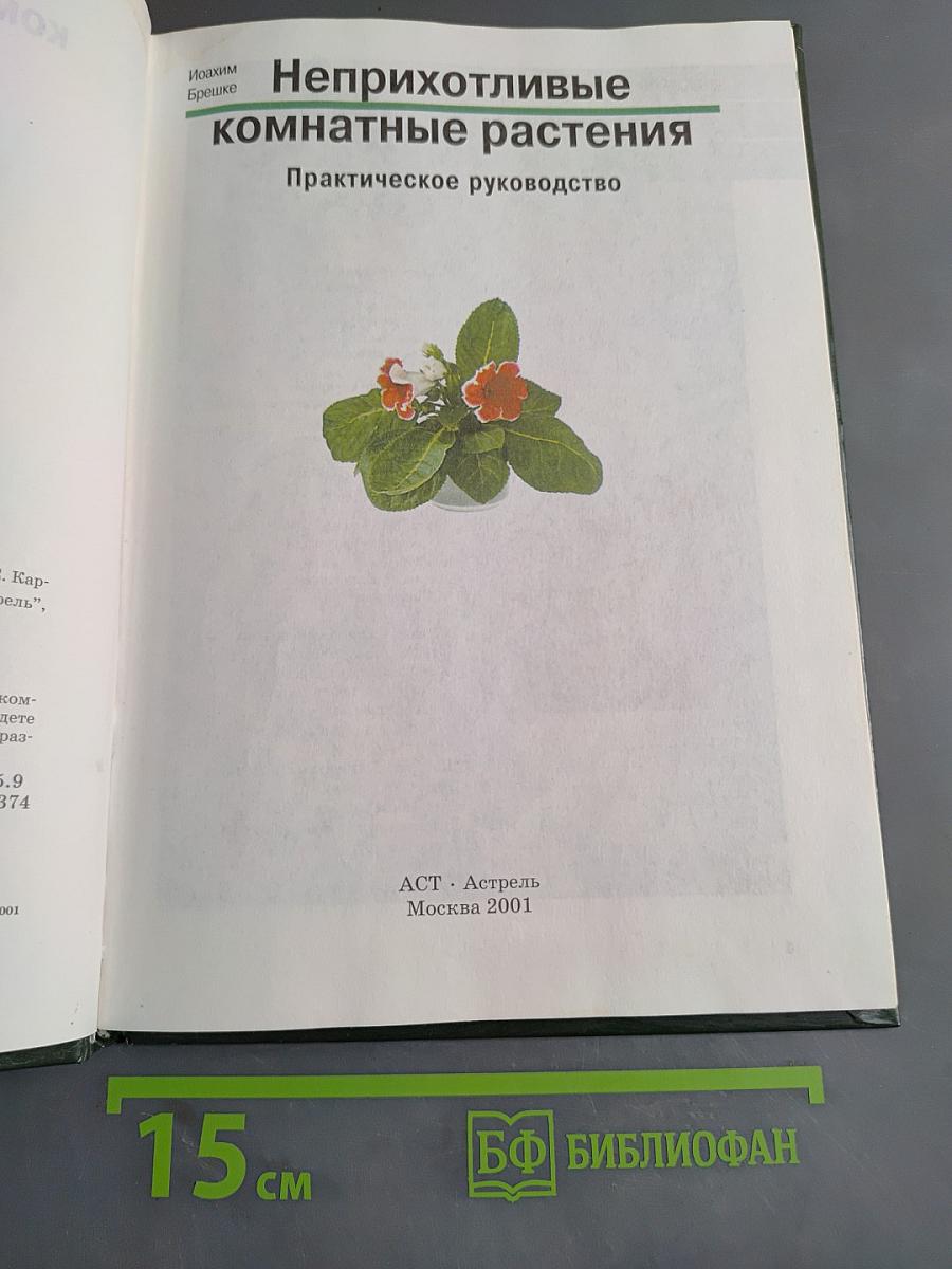 Неприхотливые комнатные растения. Практическое руководство
