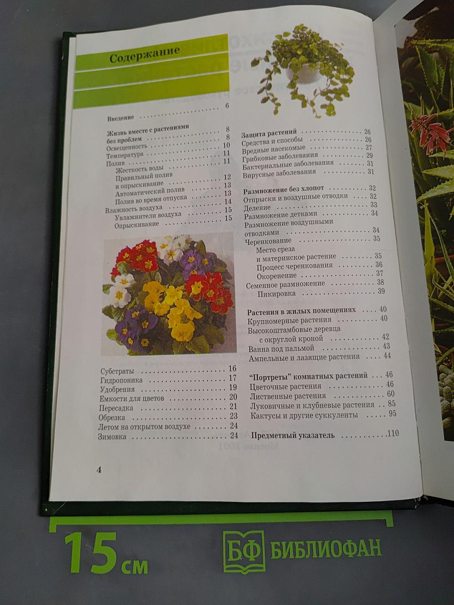 Неприхотливые комнатные растения. Практическое руководство