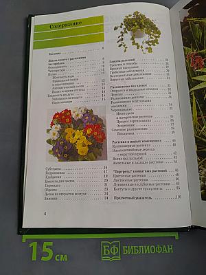 Неприхотливые комнатные растения. Практическое руководство